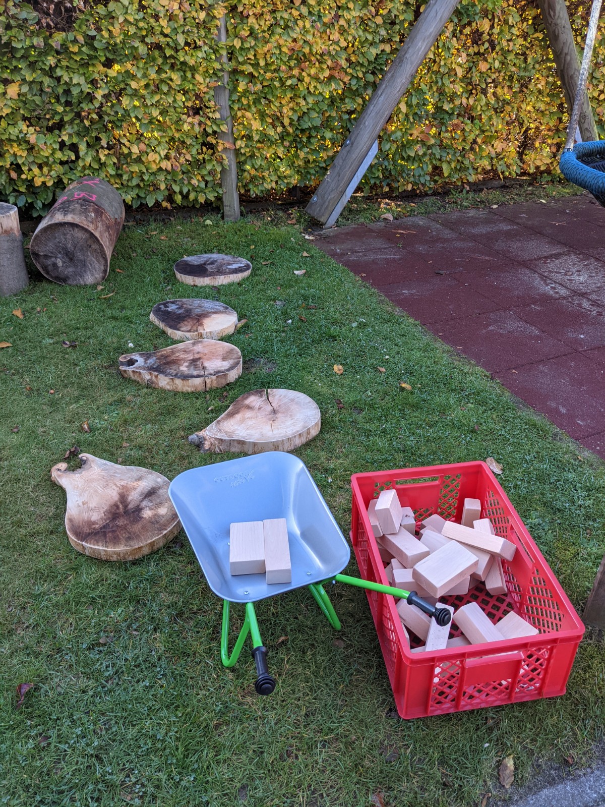 PXL_20211102_085213404