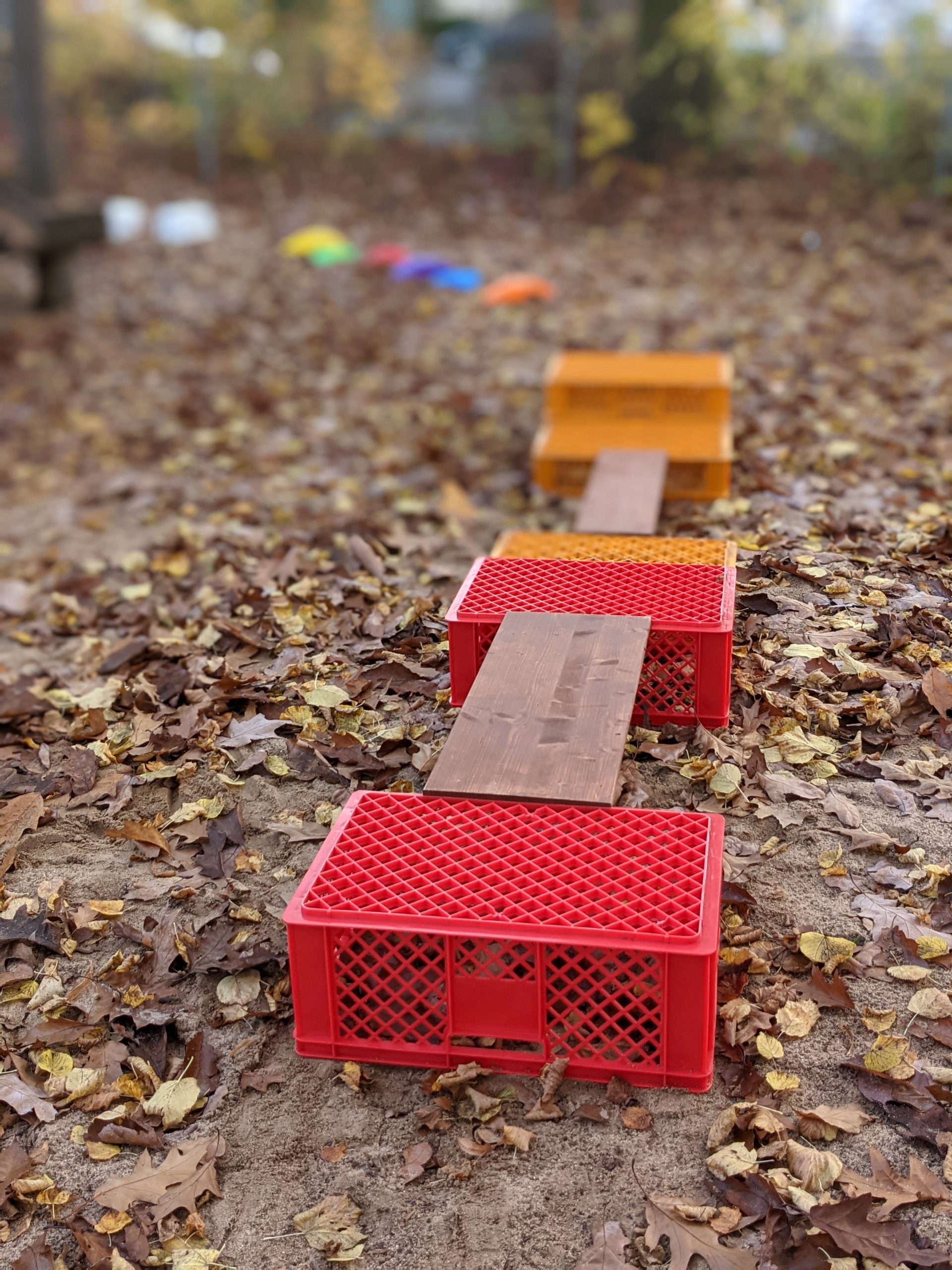 PXL_20211102_150452774.PORTRAIT